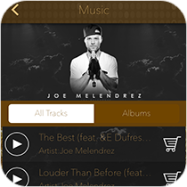 Music Player Feature